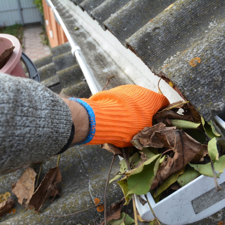 Gutter Cleaning in Yuma, AZ