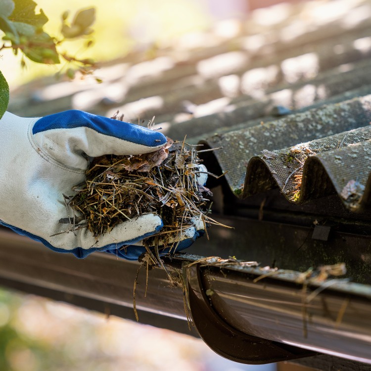 Gutter Cleaning in Yuma, AZ